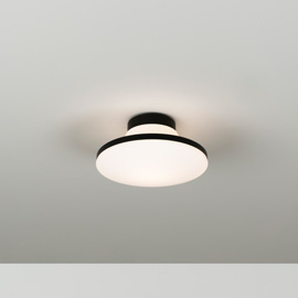 Geyser Ceiling/Wall Light